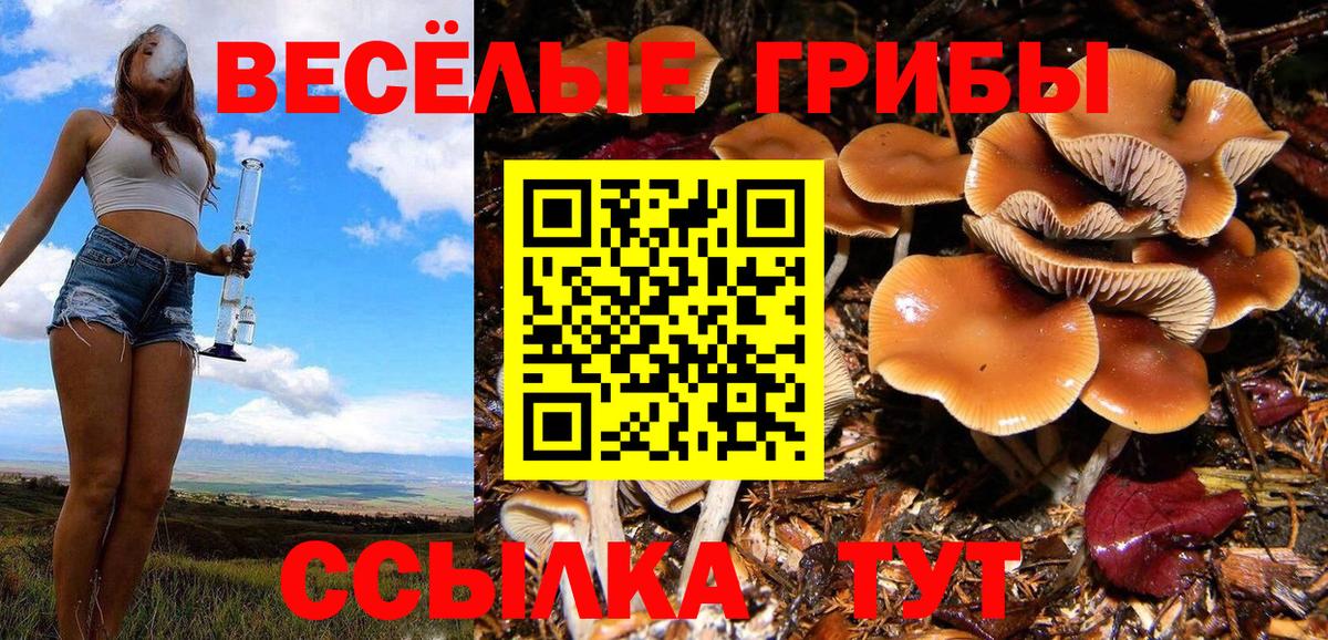 Галлюциногенные грибы Magic Shrooms  Вход с VPN  Ишимбай 